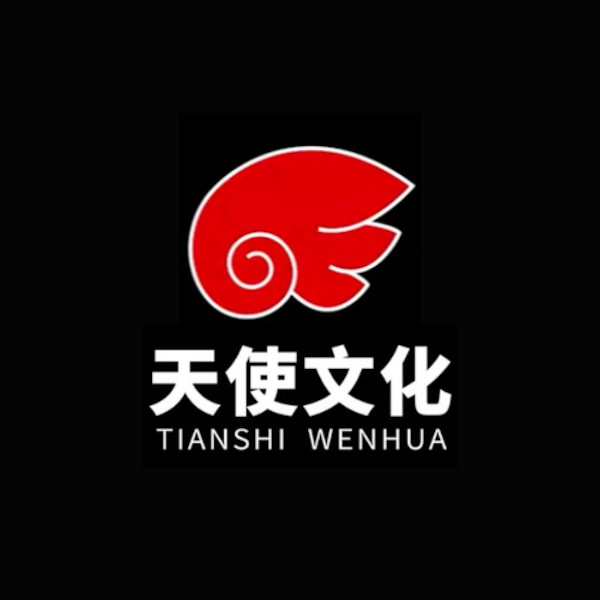 長沙天使文化股份有限公司