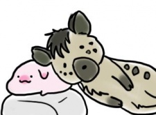 米と書いてめーとる